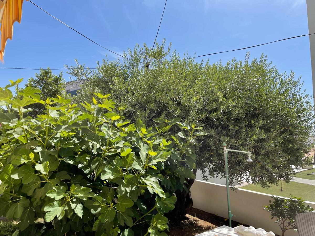 Apartments Villa Engeli فير المظهر الخارجي الصورة